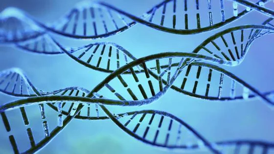 dna helex