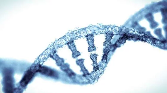 dna helix
