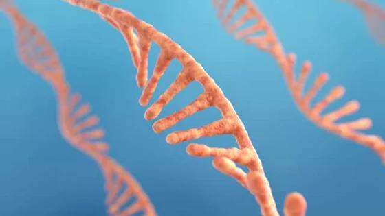 dna