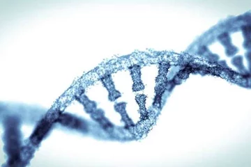 dna helix