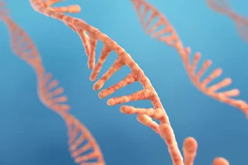 dna