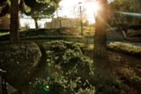 Bruin Walk