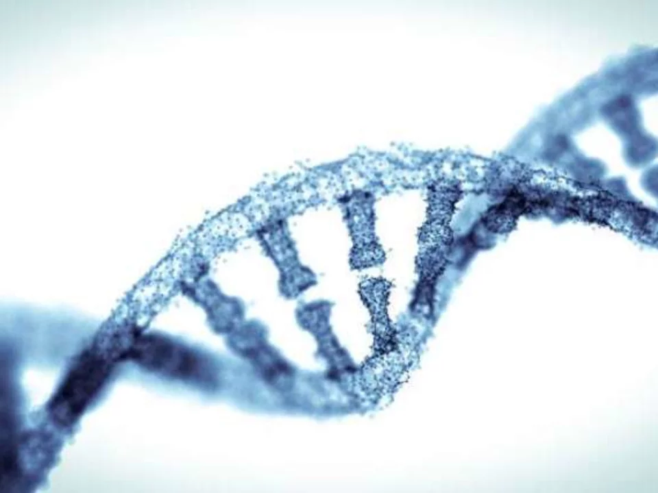 dna helix