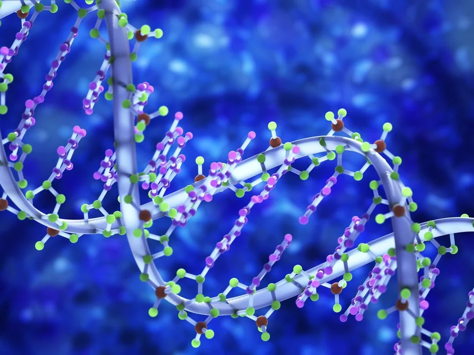 DNA helix highlight