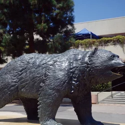 Bruin Bear